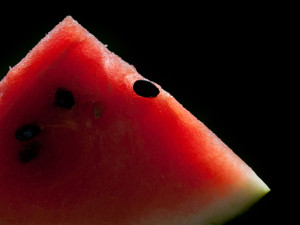 watermelon_7879cnp