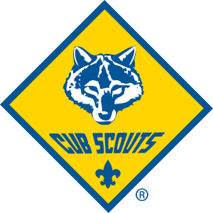 BSA CubScout_4K